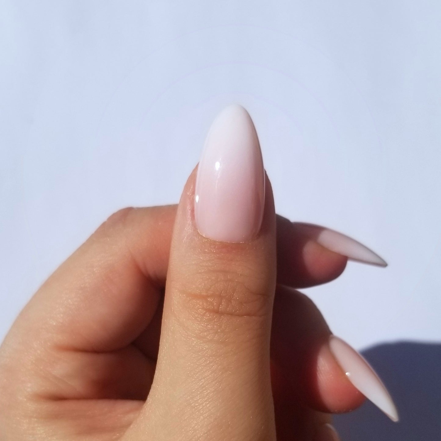 Babyboomer rose ~ Amande M