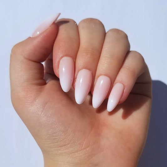 Babyboomer rose ~ Amande M
